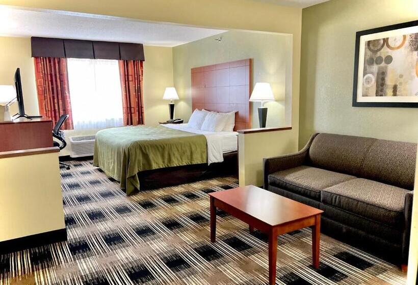 Люкс Кровать Кинг, Quality Inn & Suites Wisconsin Dells Downtown   Waterparks Area