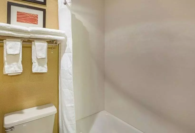 Standard-huone 2 Parivuodetta, Quality Inn