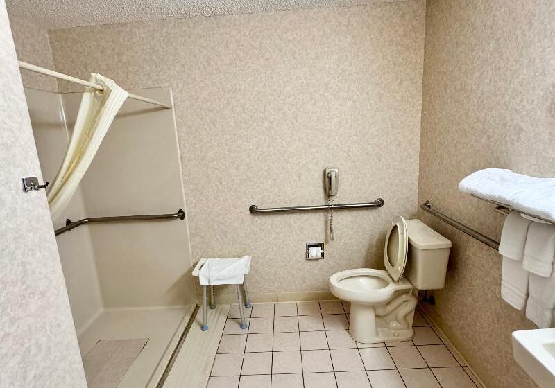 غرفة قياسية سرير كينج لذوى الإحتياجات الخاصة, Stay Wise Inns Of Montrose