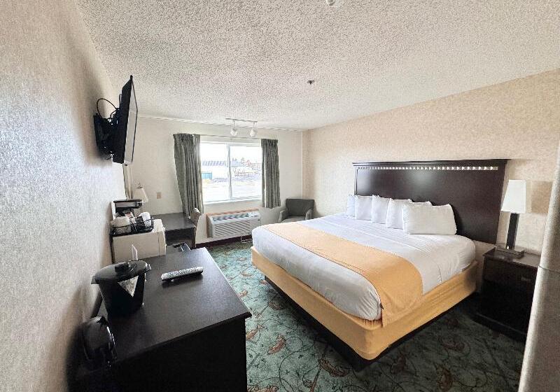 غرفة قياسية سرير كينج لذوى الإحتياجات الخاصة, Stay Wise Inns Of Montrose