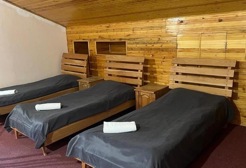 Family Room, Argishti