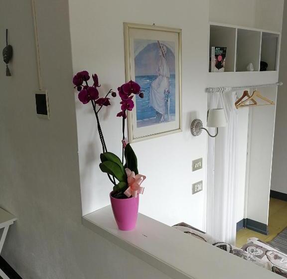 标准间, Fattoria Del Pino