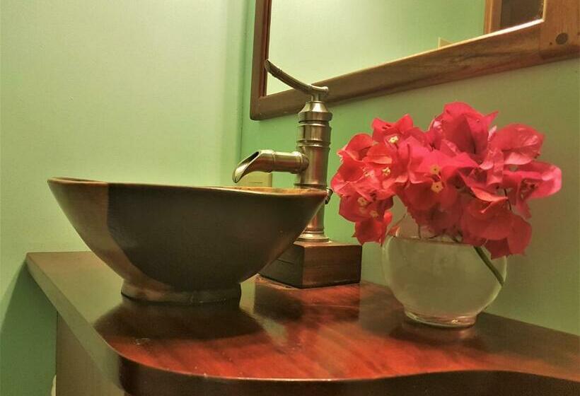 اتاق استاندارد, Sea Dreams