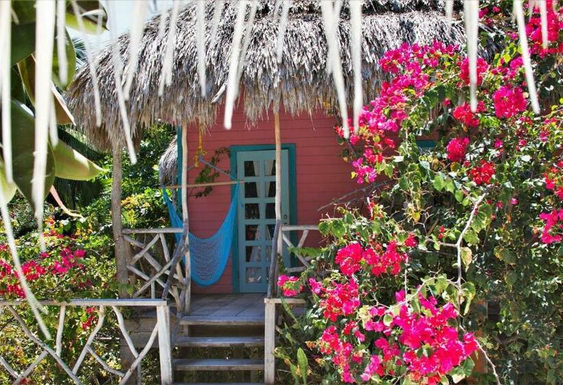 استودیو استاندارد با تخت کینگ, Sea Dreams