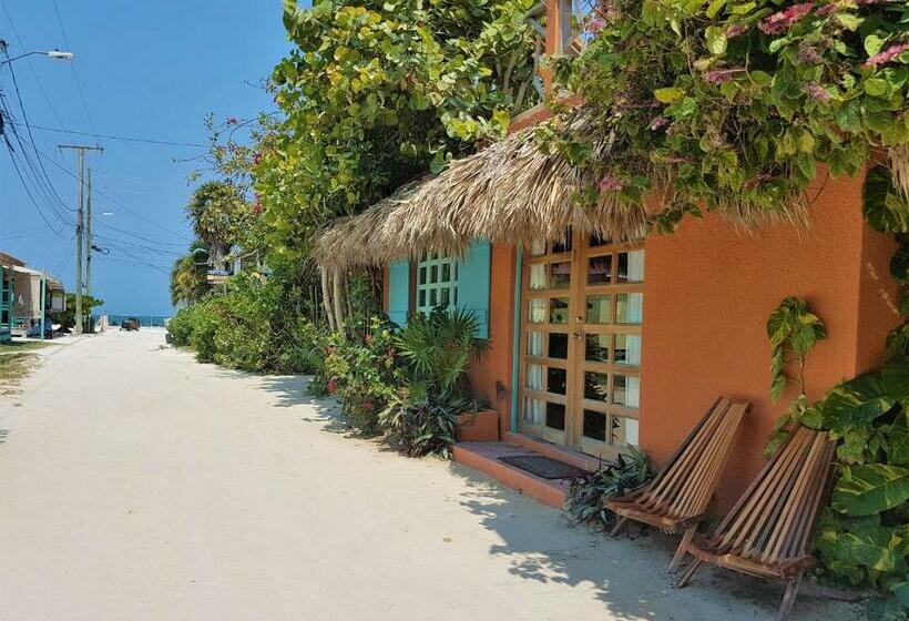 آپارتمان 2 خوابه, Sea Dreams