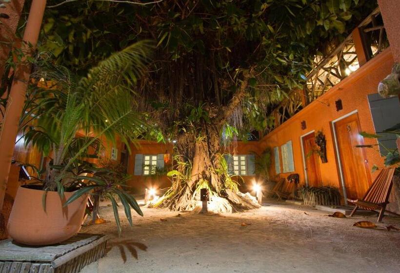 اتاق استاندارد, Sea Dreams