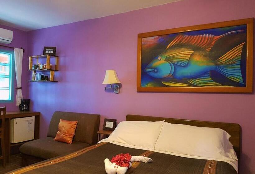 اتاق استاندارد, Sea Dreams