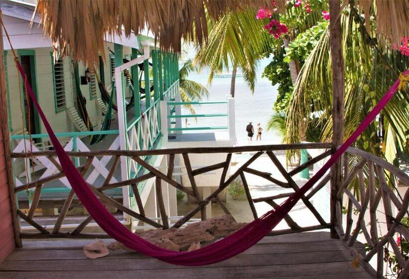 استودیو استاندارد با تخت کینگ, Sea Dreams