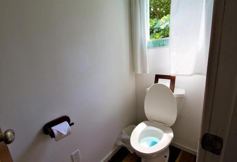 استودیو استاندارد با تخت کینگ, Sea Dreams