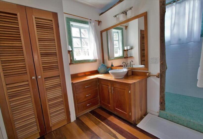 استودیو استاندارد با تخت کینگ, Sea Dreams