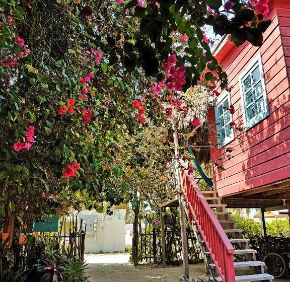 استودیوی استاندارد, Sea Dreams