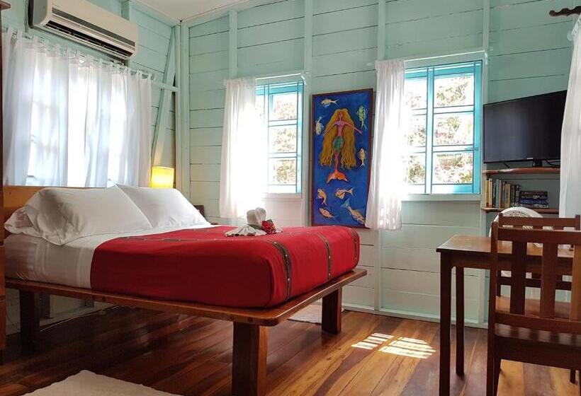 استودیوی استاندارد, Sea Dreams