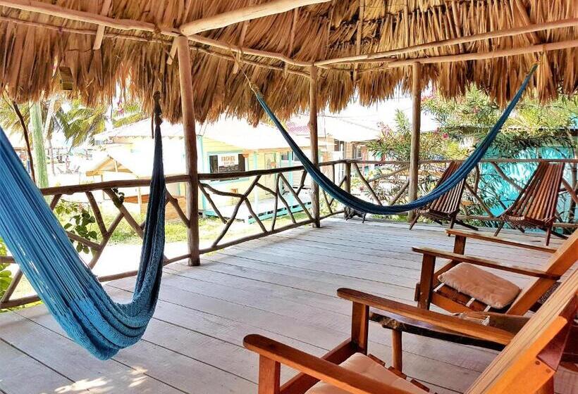 استودیوی استاندارد, Sea Dreams