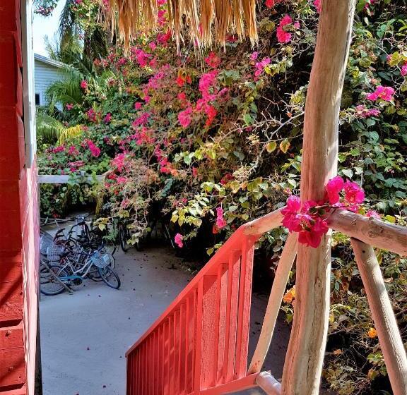 استودیوی استاندارد, Sea Dreams