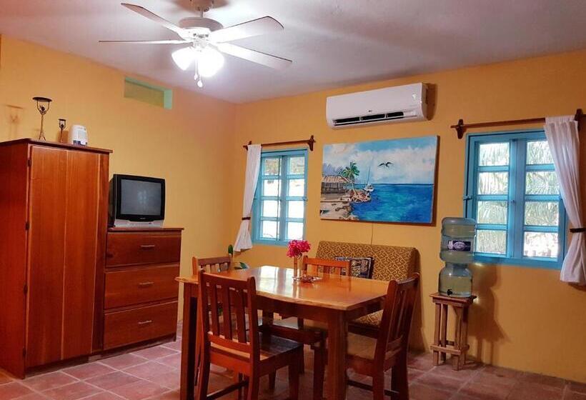 آپارتمان 1 خوابه, Sea Dreams