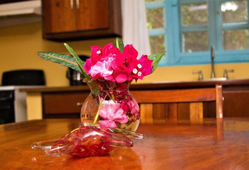 آپارتمان 1 خوابه, Sea Dreams