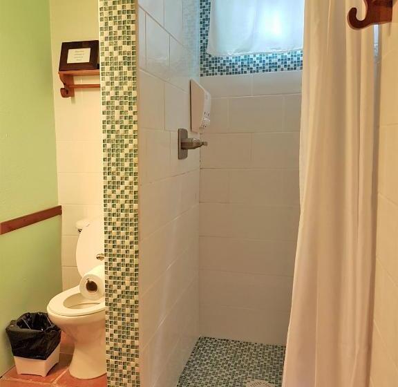 اتاق استاندارد, Sea Dreams