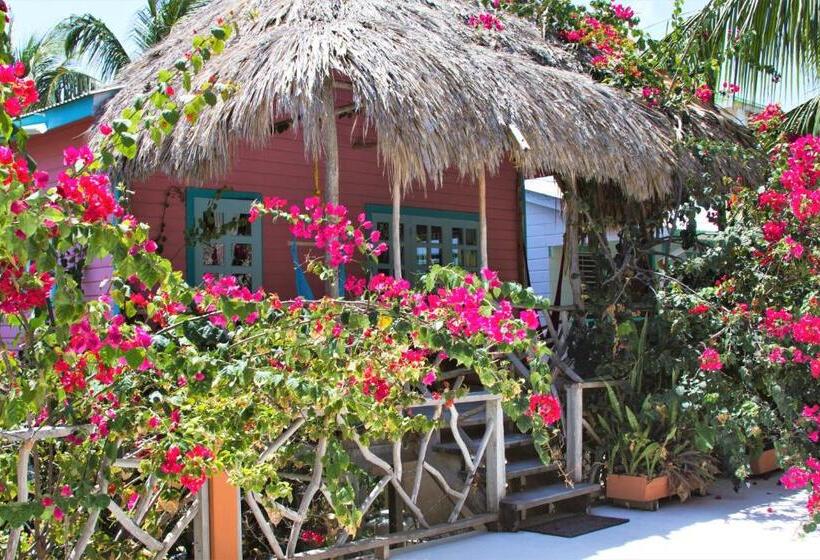 استودیو استاندارد با تخت کینگ, Sea Dreams