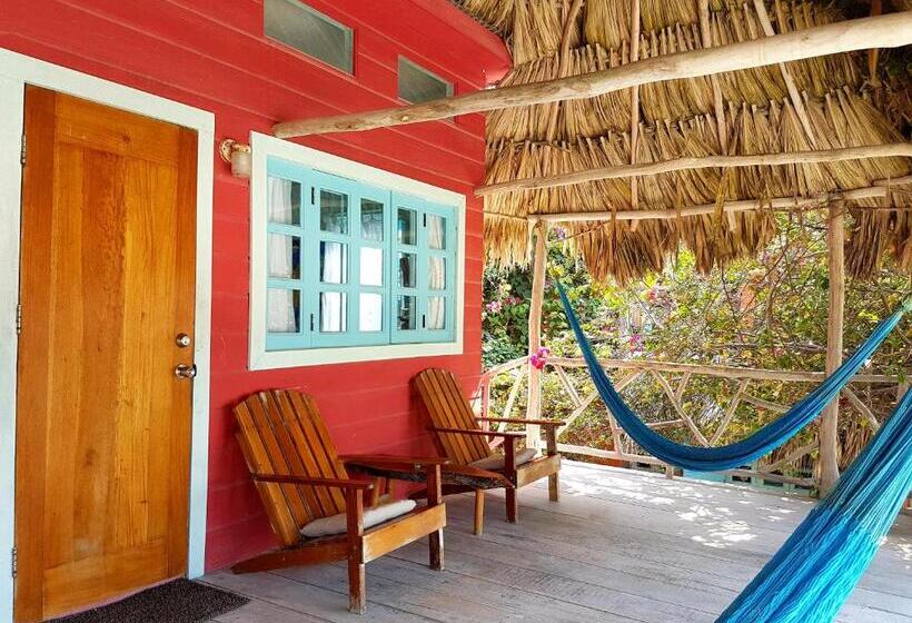 استودیوی استاندارد, Sea Dreams