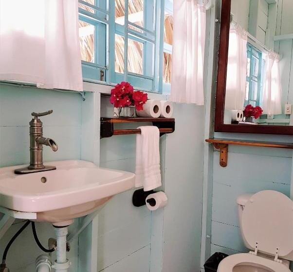 استودیوی استاندارد, Sea Dreams