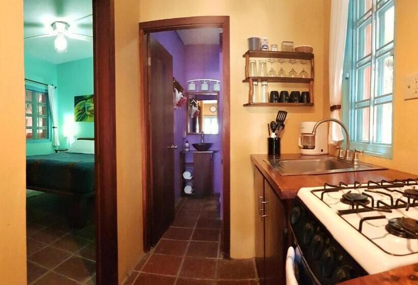 آپارتمان 1 خوابه, Sea Dreams