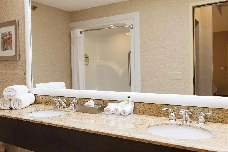 キングサイズベッドのスイートルーム, Holiday Inn Express & Suites   Olathe North, An Ihg
