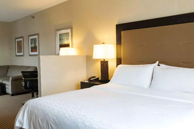 キングサイズベッドのスタンダードルーム, Holiday Inn Express & Suites   Olathe North, An Ihg