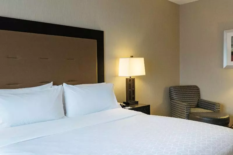身障者適用キングサイズベッドルーム, Holiday Inn Express & Suites   Olathe North, An Ihg