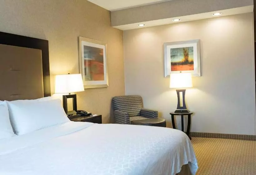 キングサイズベッドのスタンダードルーム, Holiday Inn Express & Suites   Olathe North, An Ihg