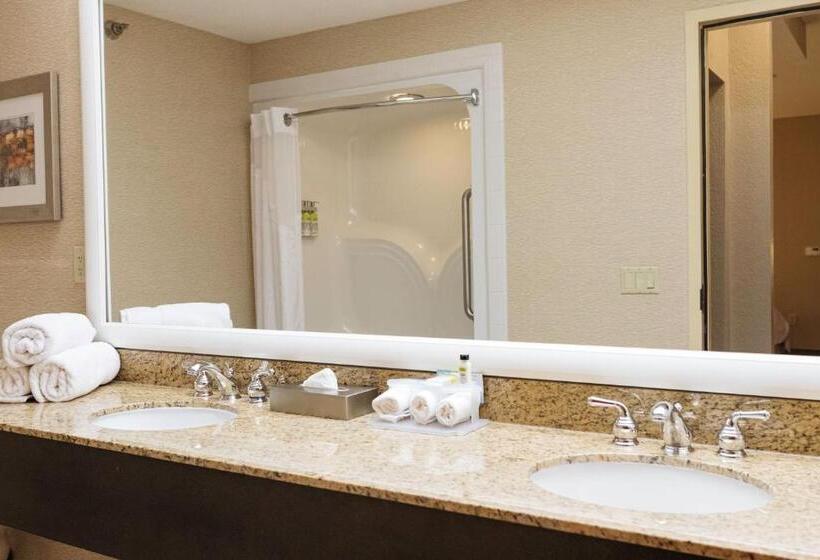 이그제큐티브 스위트, Holiday Inn Express & Suites   Olathe North, An Ihg