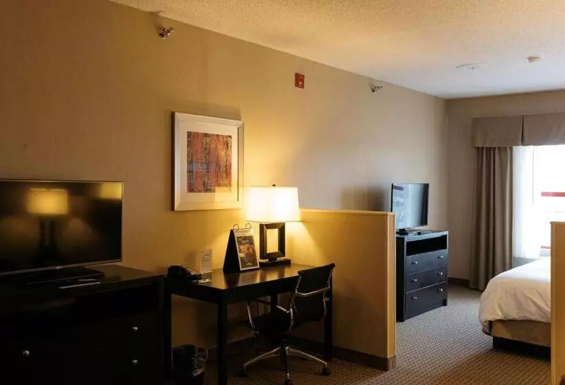 キングサイズベッドのスイートルーム, Holiday Inn Express & Suites   Olathe North, An Ihg