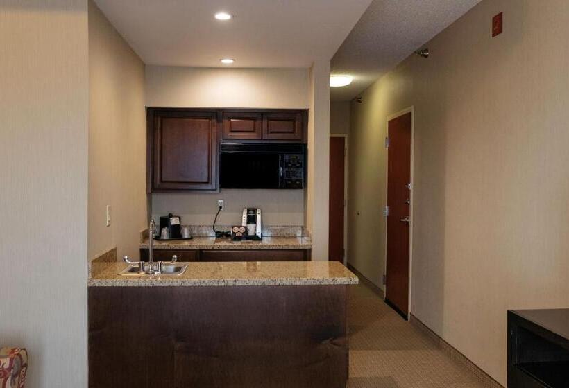 침실 1개 이그제큐티브 아파트, Holiday Inn Express & Suites   Olathe North, An Ihg