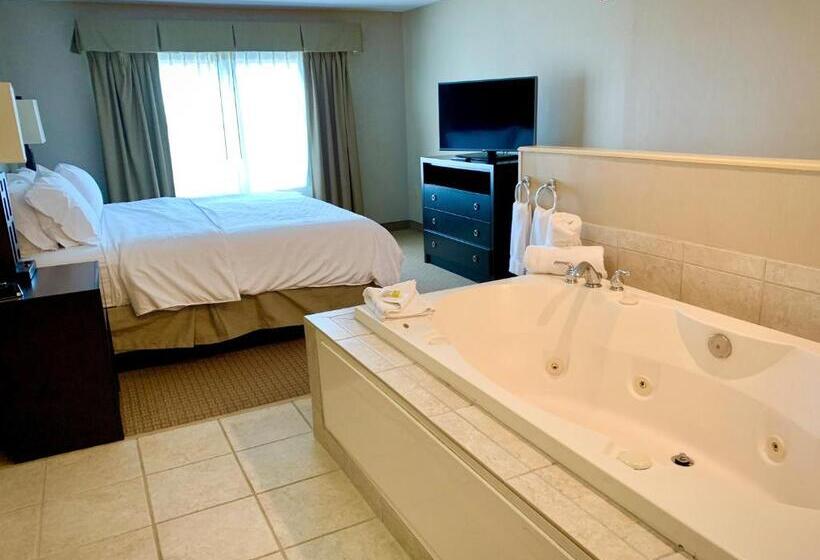 침실 1개 이그제큐티브 아파트, Holiday Inn Express & Suites   Olathe North, An Ihg