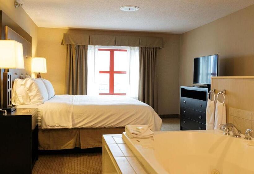 침실 1개 이그제큐티브 아파트, Holiday Inn Express & Suites   Olathe North, An Ihg