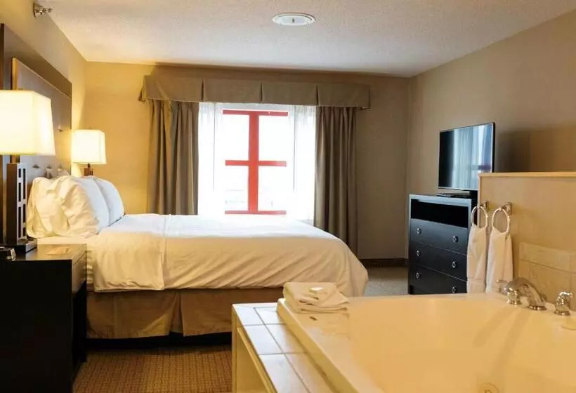 一ベッドルームエクゼクティブアパートメント, Holiday Inn Express & Suites   Olathe North, An Ihg