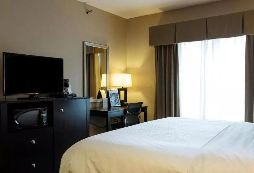 身障者適用キングサイズベッドルーム, Holiday Inn Express & Suites   Olathe North, An Ihg
