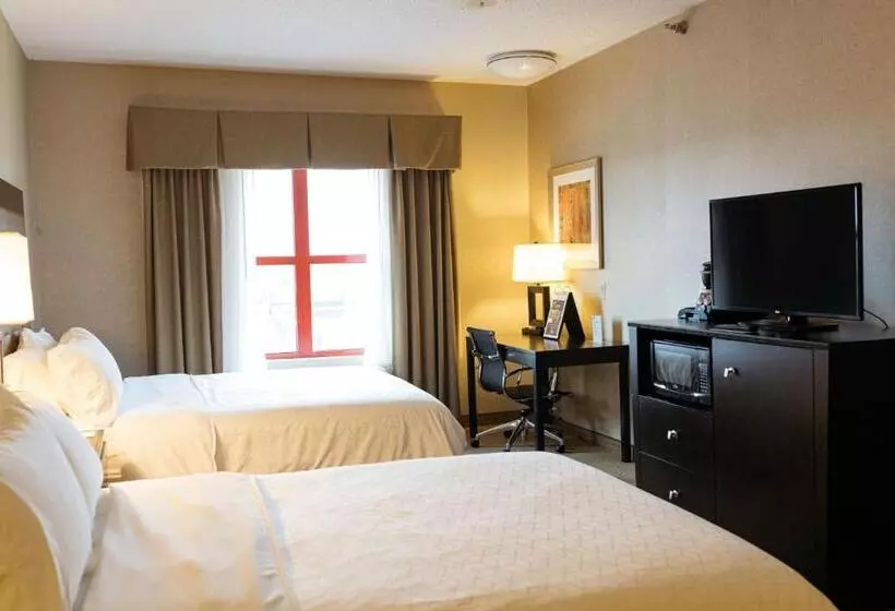身障者適用スタンダードルーム, Holiday Inn Express & Suites   Olathe North, An Ihg