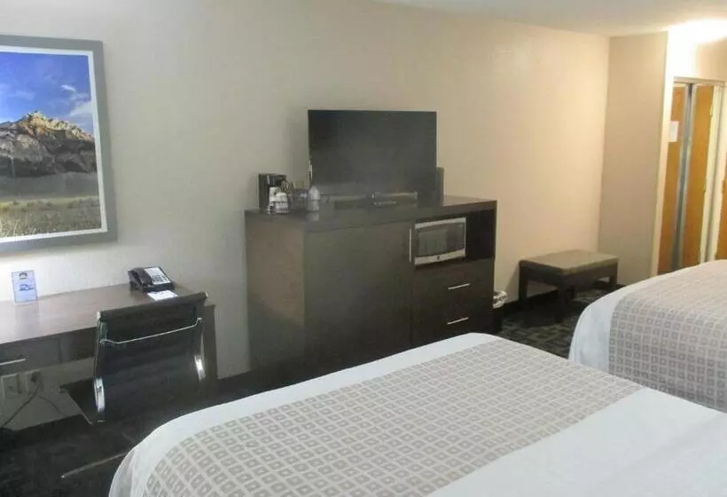 スタンダードルーム, Best Western Benton Harbor – St. Joseph