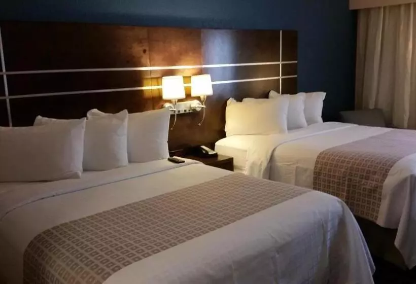 スタンダードルーム, Best Western Benton Harbor – St. Joseph