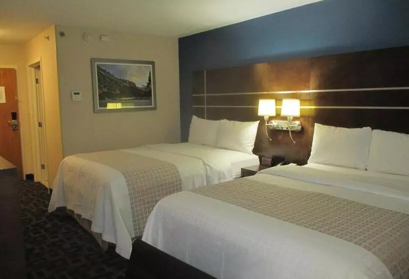 スタンダードルーム, Best Western Benton Harbor – St. Joseph