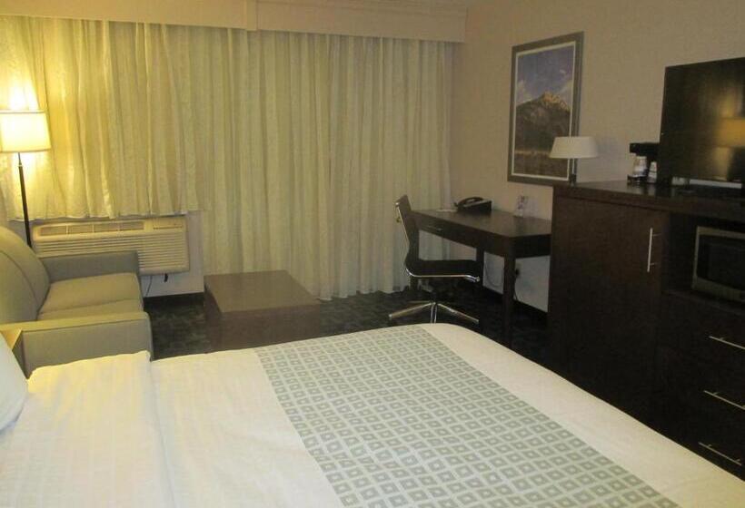 Номер Стандарт Кровать Кинг Адаптированный для Инвалидов, Best Western Benton Harbor – St. Joseph