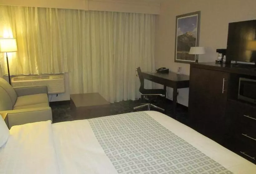 身障者適用キングサイズベッドルーム, Best Western Benton Harbor – St. Joseph