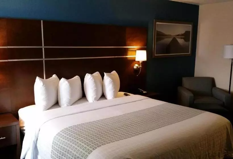 身障者適用キングサイズベッドルーム, Best Western Benton Harbor – St. Joseph