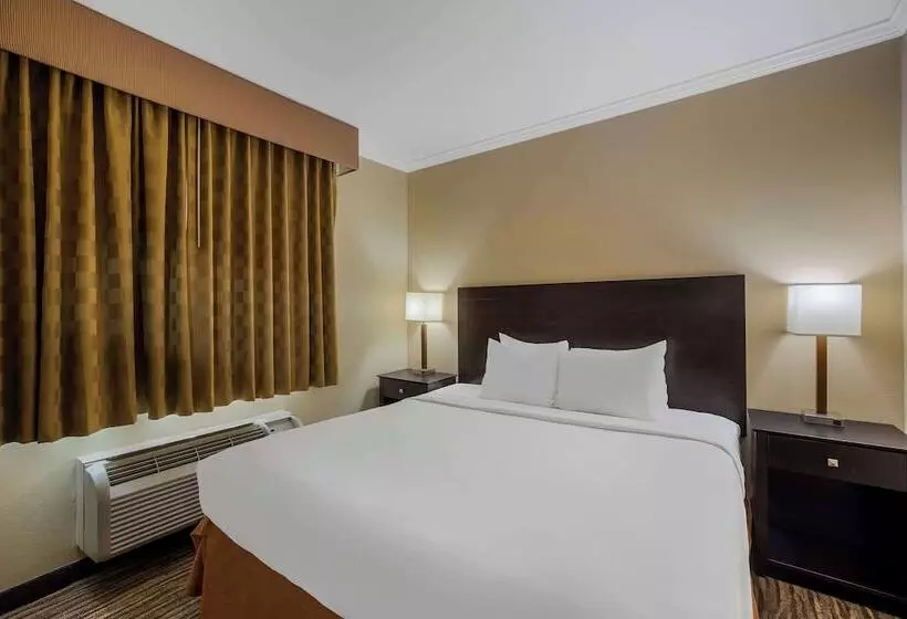 スイート, Best Western Gold Poppy Inn