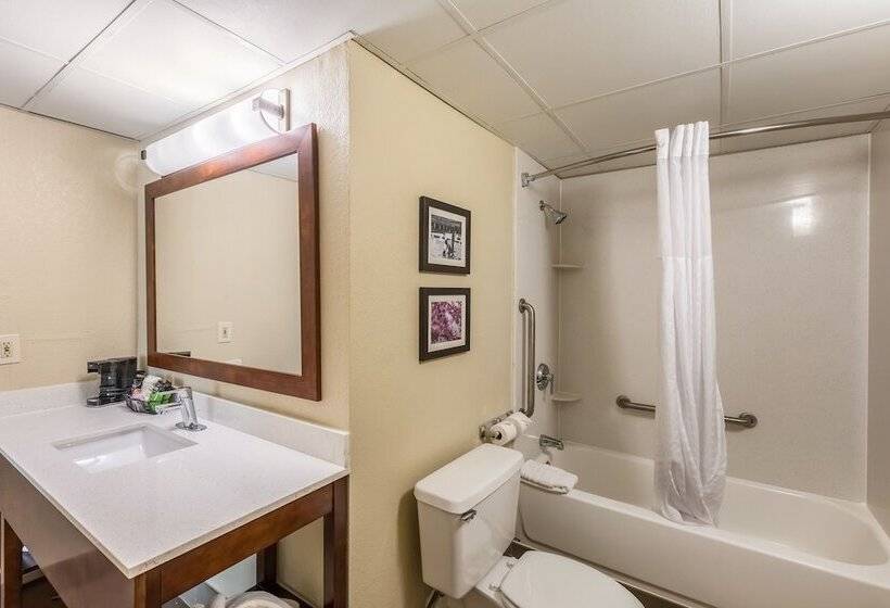 Номер Стандарт, Comfort Inn Charlotte Airport Uptown