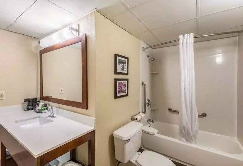 スタンダードルーム, Comfort Inn Charlotte Airport Uptown