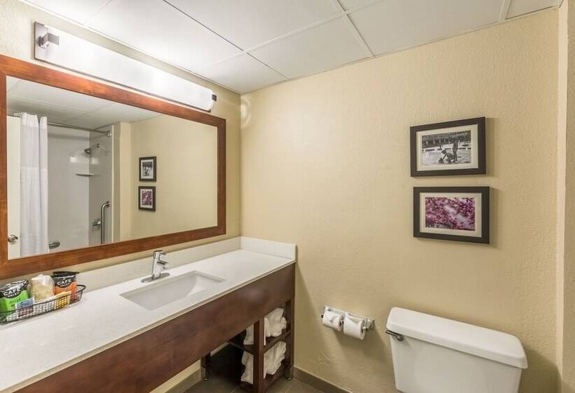 Номер Стандарт, Comfort Inn Charlotte Airport Uptown