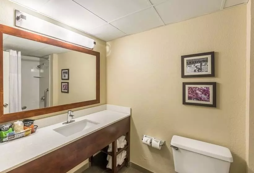 スタンダードルーム, Comfort Inn Charlotte Airport Uptown