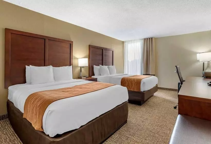 スタンダードルーム, Comfort Inn Charlotte Airport Uptown