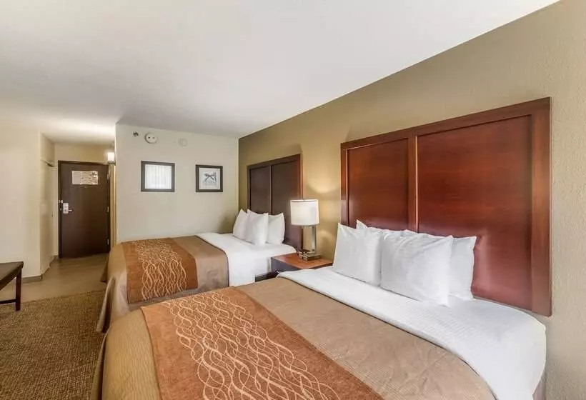 スタンダードルーム, Comfort Inn Charlotte Airport Uptown